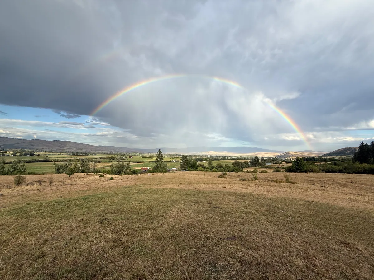 Lone Fir Ranch